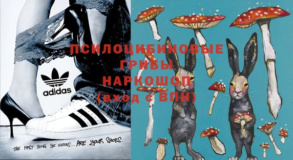 дживик Дмитриев