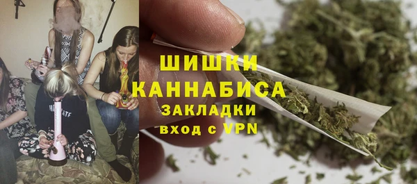 ГАЛЛЮЦИНОГЕННЫЕ ГРИБЫ Янаул