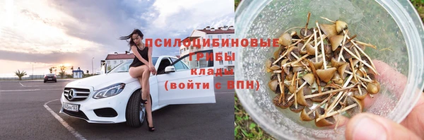 дживик Дмитриев