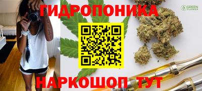 шишки Комсомольск-на-Амуре