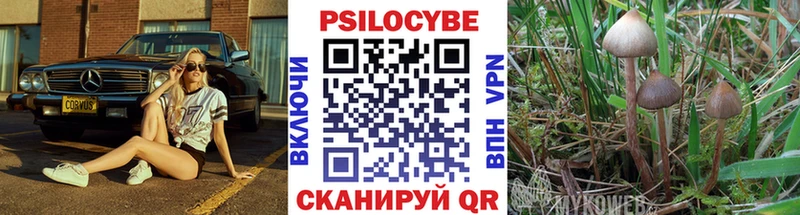 купить наркотик  Похвистнево  Галлюциногенные грибы прущие грибы 