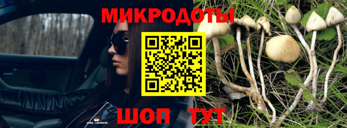 Галлюциногенные грибы ЛСД  Галлюциногенные грибы MAGIC MUSHROOMS  купить наркоту  Вход с VPN  Похвистнево 